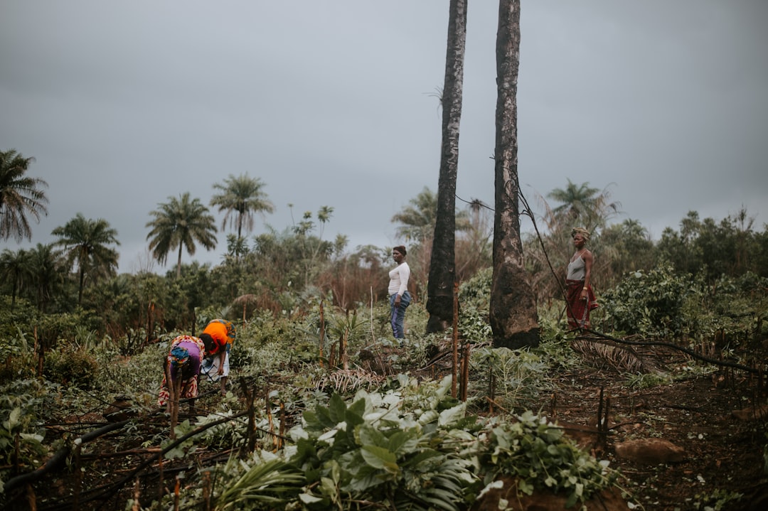 4-people-by-tall-tree-under-gloomy-skies-i6rjp7hvd7c