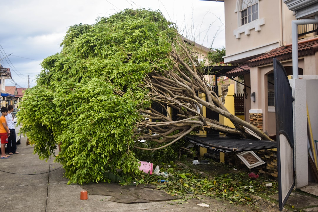 The devastating effects of Super Typhoon Odette (International name Rai) in Lapu-Lap City, Cebu, Philippines.

View a mini-documentary video of the catastrophe here: https://www.youtube.com/watch?v=83REVFp11NA

Learn how I used proactive journalism and no-code tech to respond to the super typhoon:
https://bootcamp.uxdesign.cc/a-product-designers-response-to-typhoon-odette-6b6573be00e7
