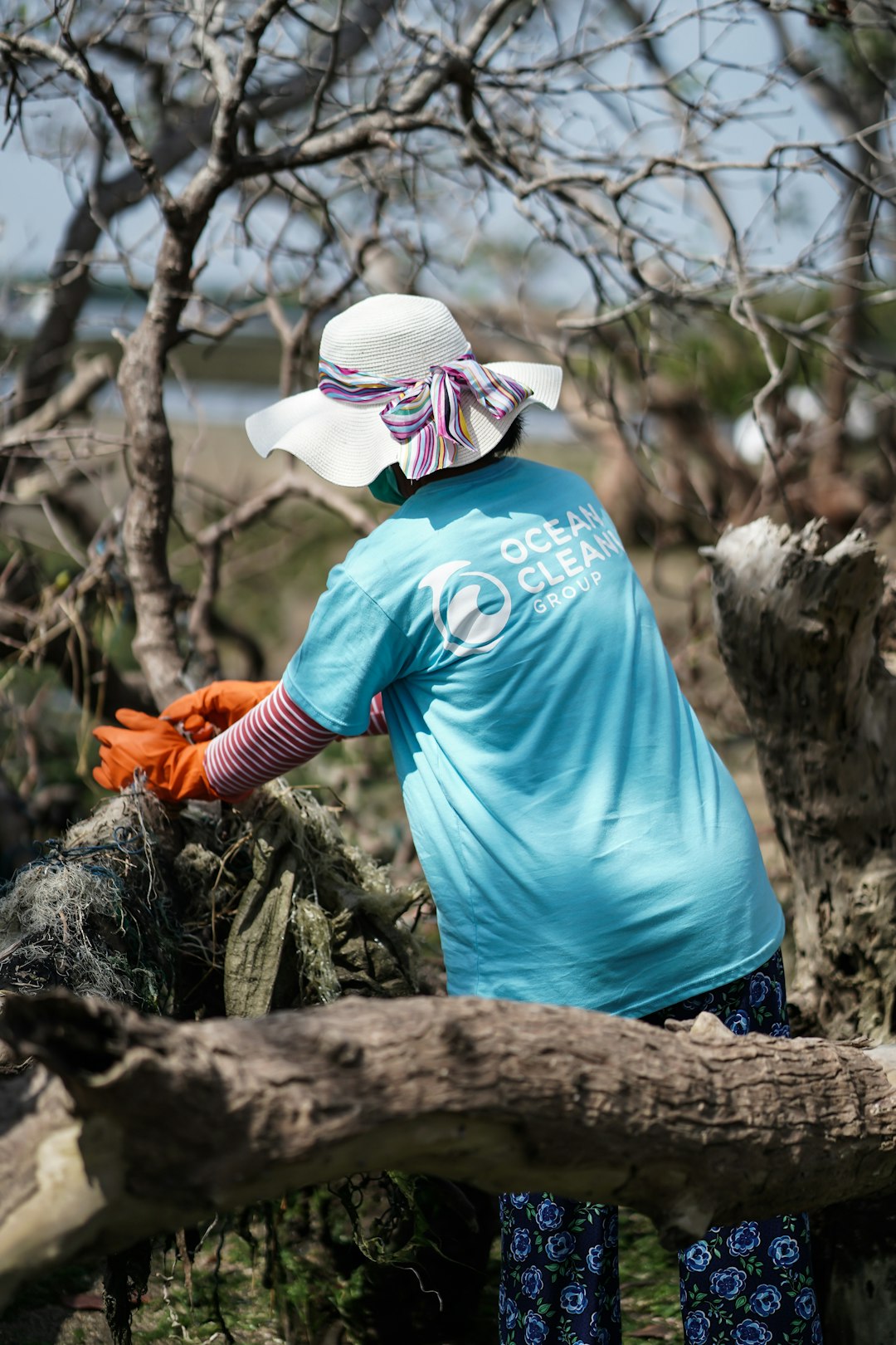Indonesian women remove plastic bags caught in the trees during high tide. Cleaning the ocean from plastic pollution. Ocean Cleanup Group
